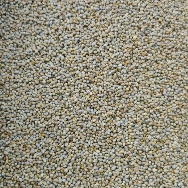 Anmoul Bajra 5kg